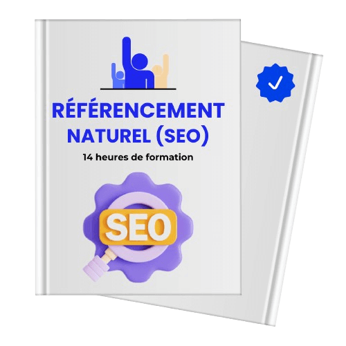 Formation SEO Needforma